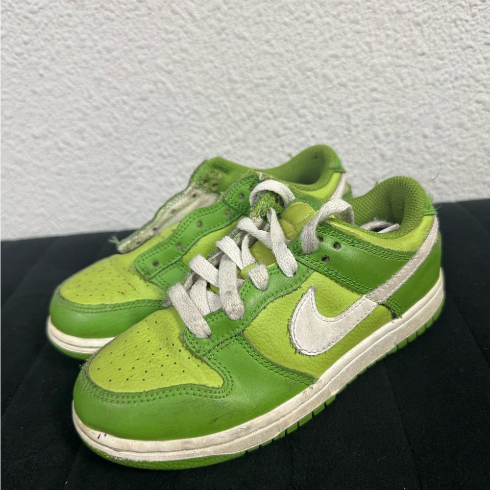 Kids Nike Dunk Low Retro Chlorophyll sneakers-unisex